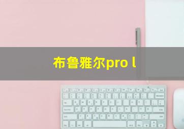 布鲁雅尔pro l